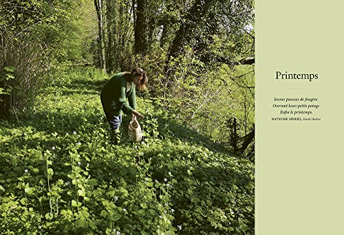 Breuvages sauvages - Pétillants, vins, kéfirs, infusions, smoothies ... avec des plantes sauvages – vue 4