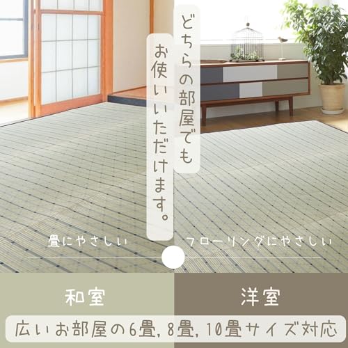 さるるの部屋 い草裏貼カーペット 碧水 江戸間6畳 261x352cm 不織布貼 やわらか 軽量 薄手 さらさら [3]