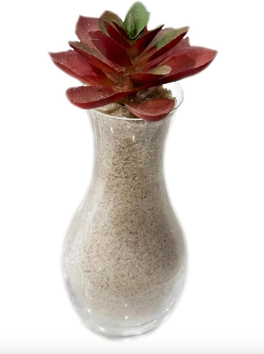 5 Pounds Natural Decorative Real Sand for use in Crafts, Decor, Vase Filler and More | Natural and Non-Toxic, Fun Wet and Dry Indoor and Outdoor, Sandbox, Therapy, and Table Use. W/Container.