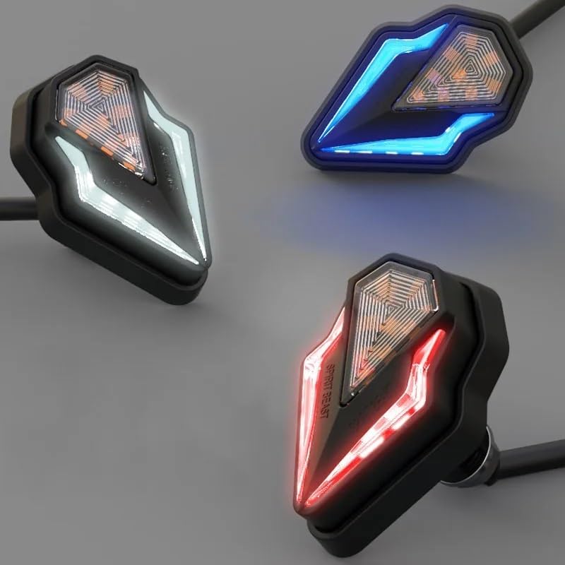 Faro Posteriore Stop Running Accessori per motociclette per luci di carrozzeria per 250SR Luci ausiliarie per modificate 12V a LED