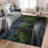 Matériau durable : ce tapis moderne est fabriqué en flanelle, doux et confortable, difficile à tomber et à endommager. Les tapis de grande surface peuvent isoler et réduire efficacement le bruit. Parfait pour les familles avec enfants et animaux domestiques