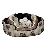 Slumber Pet 18-Inch Polyester Uptown Loungers Dog Bed, Small, Floral