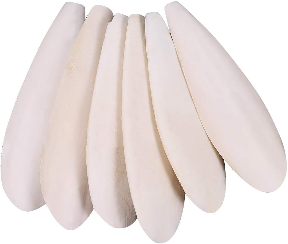 Parrots Chew Toys 6 Pieces Natural Cuttlefish Bone for Parrots Cage Birds Reptiles Tortoises Snails,10-12cm
