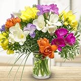 Bunter Blumenstrauß - 15 bunte Freesien mit Pistazie und Gräsern