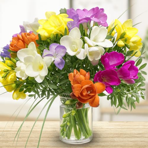 Bunter Blumenstrauß - 15 bunte Freesien mit Pistazie und Gräsern