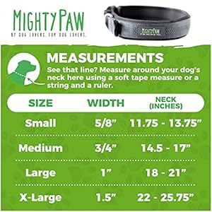   Mighty-Paw-Dog-Collar-Neoprene-Padded-Reflective-for-Running-Extra-Comfort-for-Active-Dogs-Lined-Dog-Collar-Strong-Dog-Collar-Premium-Quality-Dog-Collar-for-All-Dog-Breeds-Soft-Collar