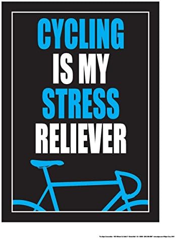 Fitnus Chart Series Cycling is My Stress Reliever 18" X 24" Poster (Blue/White/Black)