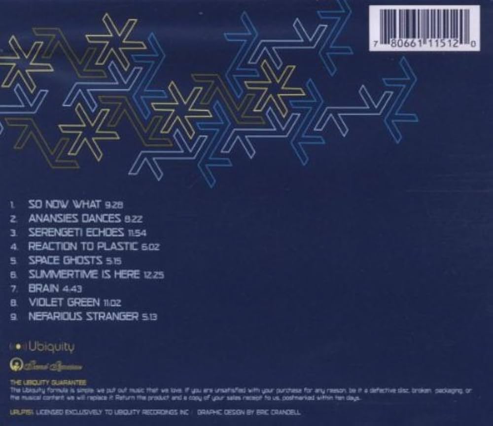 洋楽 Theo Parrish PARALLEL DIMENSIONS 2LP PARALLEL DIMENSIONS (2LP) / /THEO PARRISH レコード通販