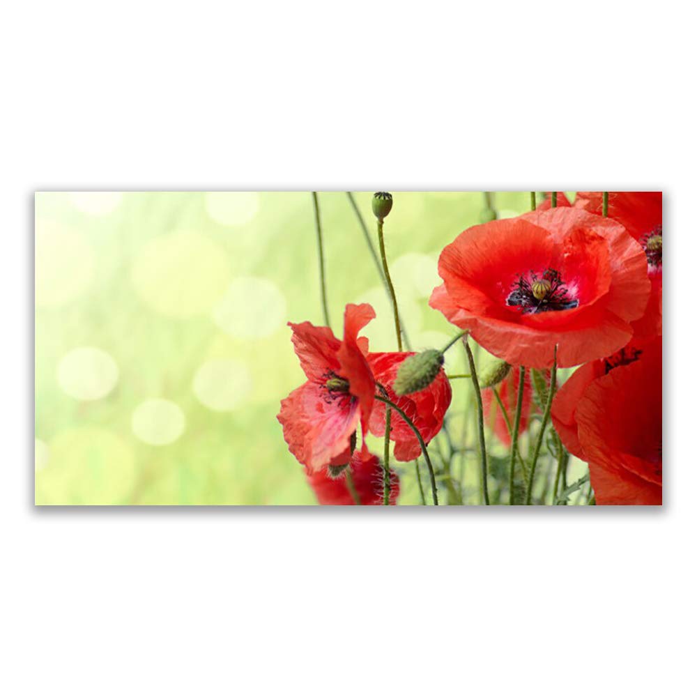 Impression sur verre trempé 120x60cm Tulup tableau déco coquelicots floral