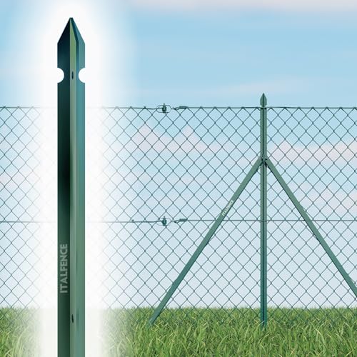 Italfence - Lot de 10 piquets T pour clôture en fer plastifié vert (Toutes les hauteurs disponibles) [H 125cm, 30x30x3mm]