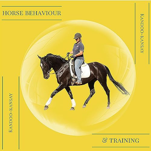 Horse Training - Kandoo Kansay cover art