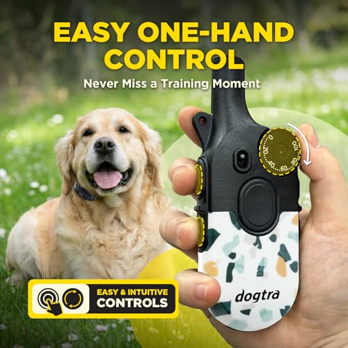 Image of Dogtra 200iQ Remote Training E Collar - 100 Levels, Tone, Vibration, 1 /2 Mile Range - Compact, Waterproof, One-Handed Control for Dogs 10 lbs+ - Lightweight Design for Daily Training - Organic Stone