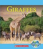 Giraffes (Nature's Children)