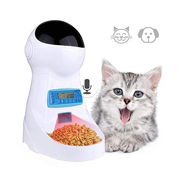 kitten food dispenser