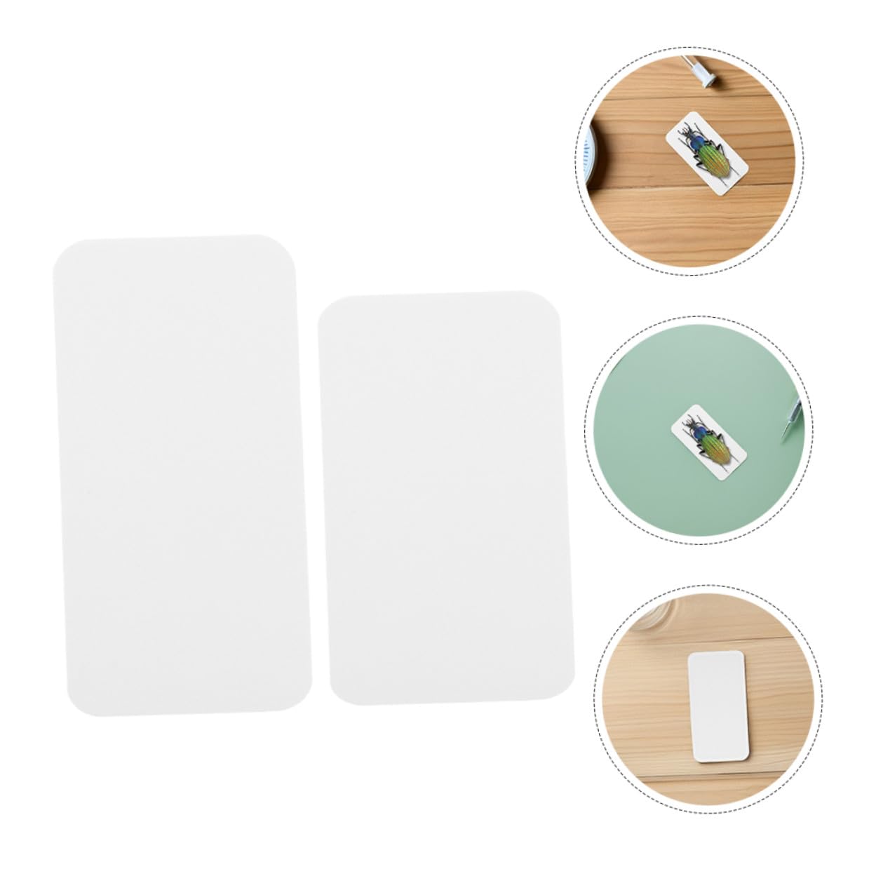 180pcs Insect Specimen Display Mat with Rounded Corners, Micro Mounting Cards 50x25mm 65x25mm for Precise Butterfly Spreading and Science Lab Entomology Education