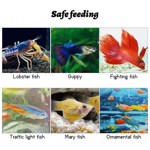 Amexo Sala Parto Acquario, 1,5 L Trasparente Acquario Acquario per Pesci Rossi Scatolaper Incubatrice per Gamberetti Guppy
