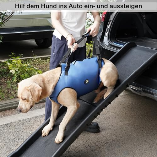 Coodeo Hundeliftgeschirr, Haustierunterstützung & Rehabilitation Sling Lift Verstellbare Gepolsterte atmungsaktive Gurte für Alt, Gelenkverletzungen, Arthritis, Stabilitätsverlust Hunde(Blau, L)