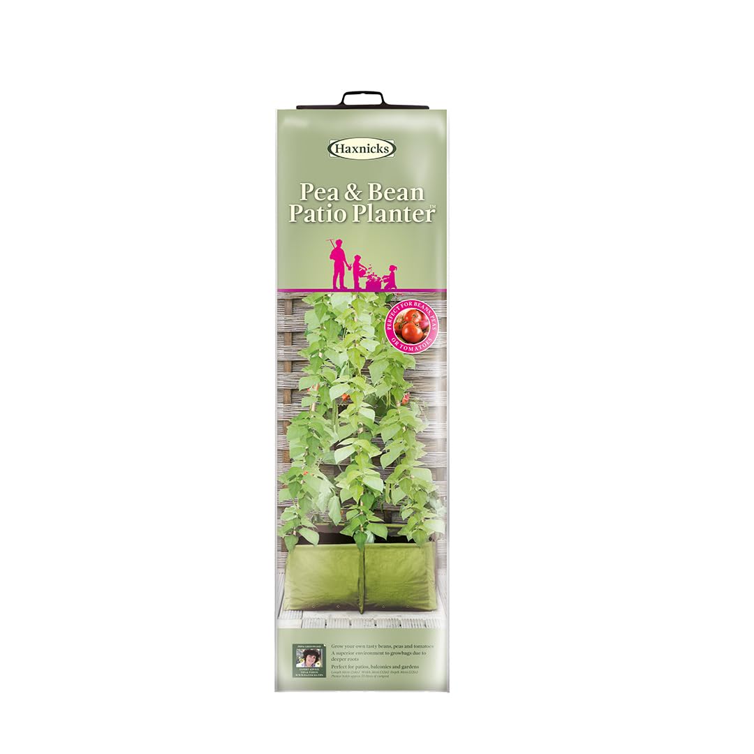DOUBLE LINE bk15 バックサイドワークス　植物鉢 DOUBLE LINE bk15 バックサイドワークス 植物鉢