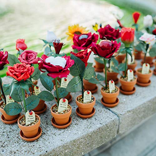 4Th Year Wedding Anniversary 7 Inch Potted (Artificial) Fruit Rose Flower #TOP4