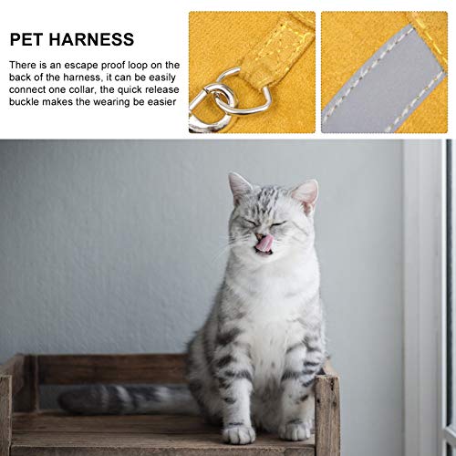 VILLCASE Conjunto de Arnês de 2 Peças para Filhotes de Gatos Com Coleiras à Prova de Fuga Colete de