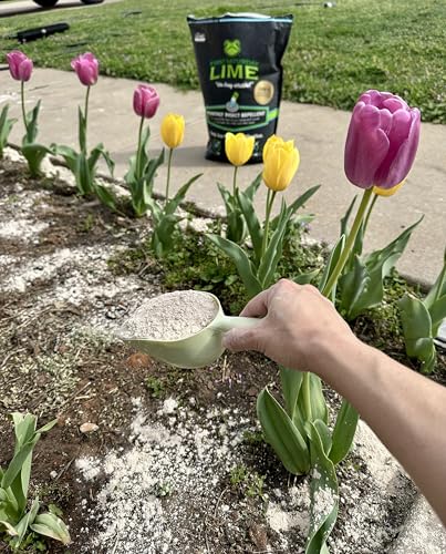 Image of First Saturday Lime Insect Deterrent - 40lb Bag |Multi-Purpose for Outdoors | First Saturday Lime Insect Deterrent - 40lb Bag |Multi-Purpose for Outdoors