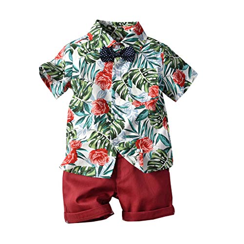Shan-S 1-5 Years Old Toddler Baby Boy Short Sleeve Bow Tie Gentleman Leaf T-Shirt Tops+Shorts Clothing Outfits