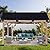 StarEcho Wooden Hardtop Gazebo 12 x14 FT,Heavy Duty Cedar Wood Pavilion Gazebos with Galvanized Steel Gable Roof,Outdoor Gazebo for Lawn Backyard Deck Patio Garden