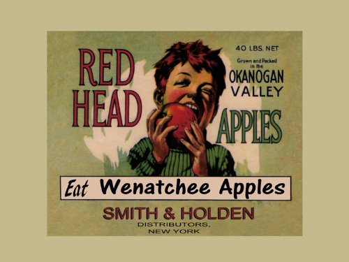 CANVAS Boy Red Head Eat Wenatchee Apples Okanogan Valley Produce in American USA Fruit Crate Label Vintage Poster Repro 12" X 16" Image Size ON CANVAS.