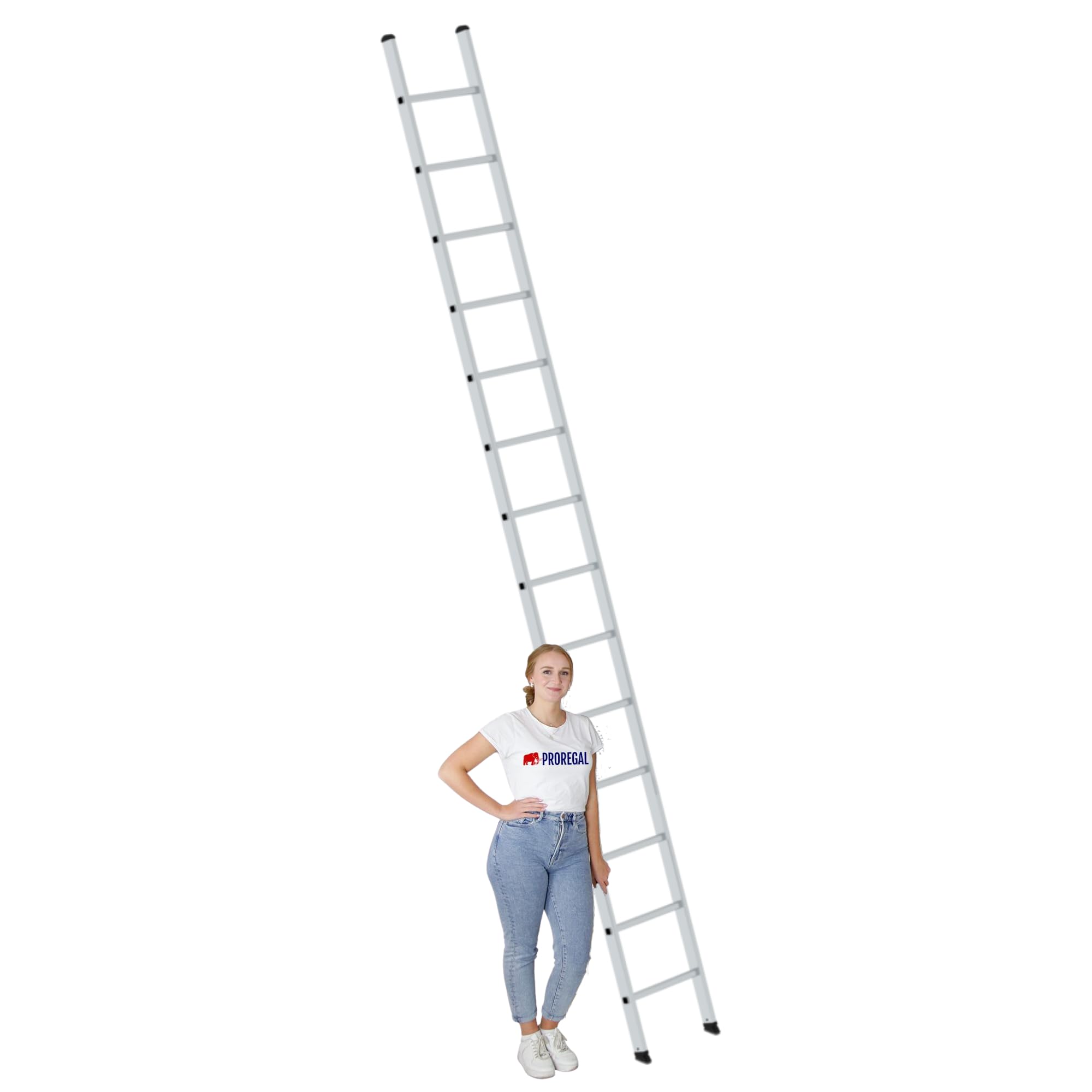 PROREGAL Sprossen-Anlegeleiter ohne Traverse | 14-Sprossen | Leiter, Teleskopleiter, Trittleiter, Bockleiter, Sprossen-Doppelleiter