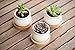 StarPack Premium 3 Piece Mini White Ceramic Succulent Planter Pot Set with Bamboo Bases