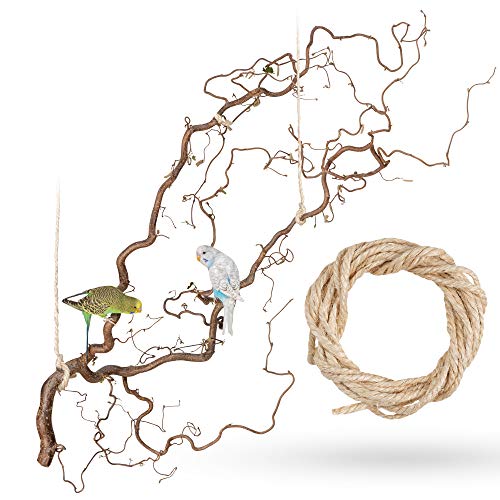 Vogelgaleria® Große Korkenzieherhasel Sitzstange zum Aufhängen mit...