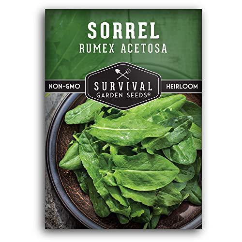 Sorrel Seeds for Planting - Large Leaf Garden Sorrel - Cool Weather Perennial Vegetable for Edible Leafy Greens - Heirloom Non GMO - Survival Garden Seeds (1 Pack)
