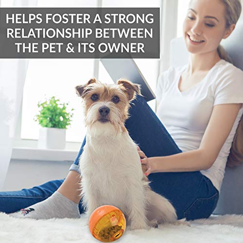 Ourpets Iq Treat Ball Interactive Food Dispensing Dog Toy , Assorted Colors #TOP5