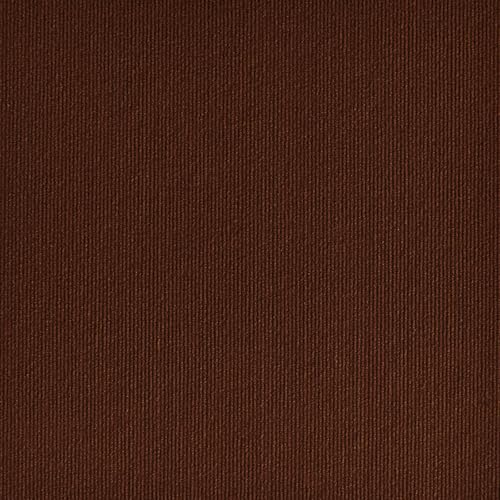 10pcs 18x18inch Self Adhesive Squares Carpet,Peel and Stick Repeated Use Floor Tile,Heavy Duty Commercial Carpet Floor Tiles,Residential Splicing Carpet Tile,Easy Installati(Size:10Pcs,Color:Burgundy)