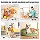WhizNook 10 Stück Hundeduft-Trainingsbox, Training Hundeduft Nase Geruchsbehälter Runde Dose Metalldosen, Trainingsgeräte Hundeduft mit Belüftungslöchern, für das Welpendufttraining