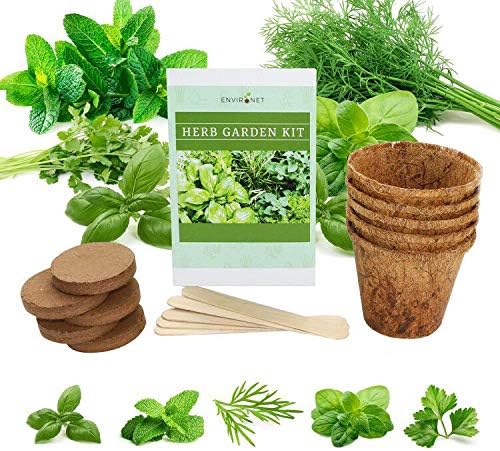 Herb Garden Kit. Seed Starter Kit Indoor. Grow 5 Different Herbs - Basil, Mint, Dill, Oregano, Cilantro from Seeds at Home. Gardening and Home Decoration Gifts