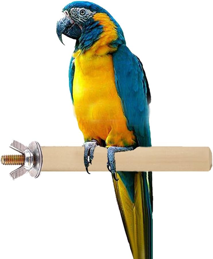 Sage Square 12 Inches / 30 cm Natural Wood Perch/Stand/Toy Ideal for Cockatoo, Amazon, Macaw, African Grey (Light Weight)