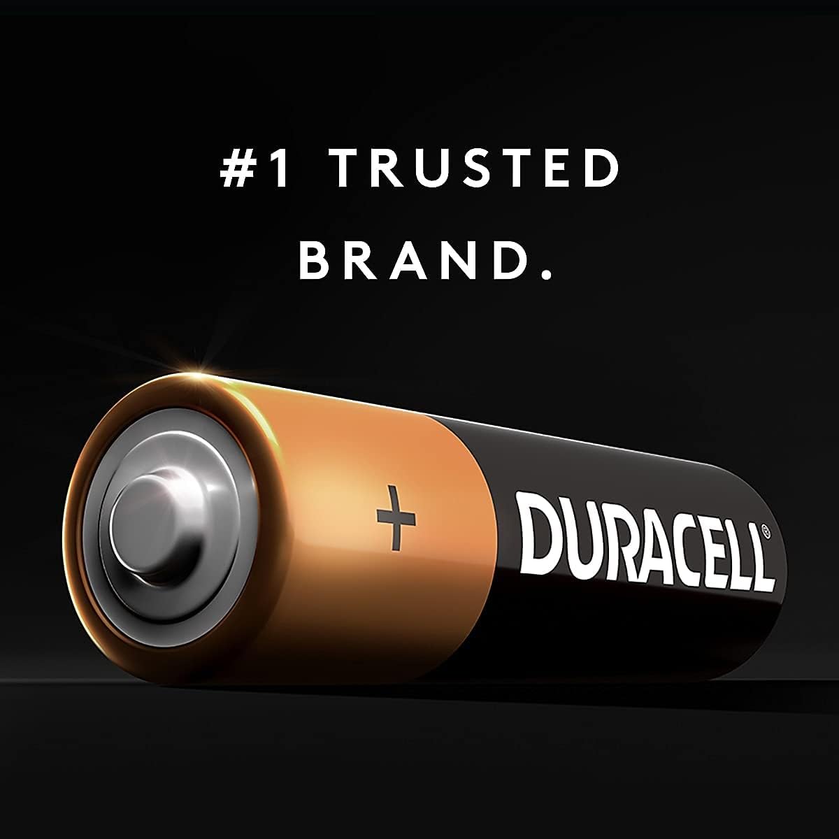 Duracell CopperTop Alkaline AAA Batteries, 24/Box