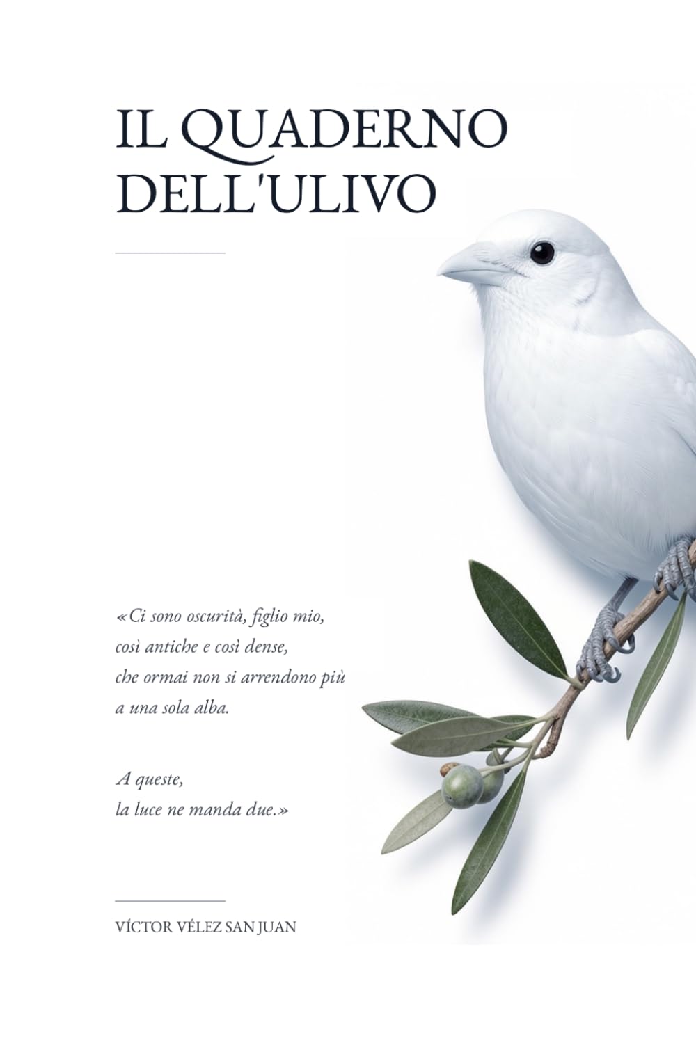 Il Quaderno dell'Ulivo