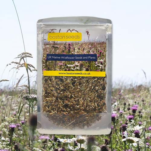 Wildflower Seeds, 100% Perennial Chalk & Limestone Soil Seeds 10-150cm (50 g)