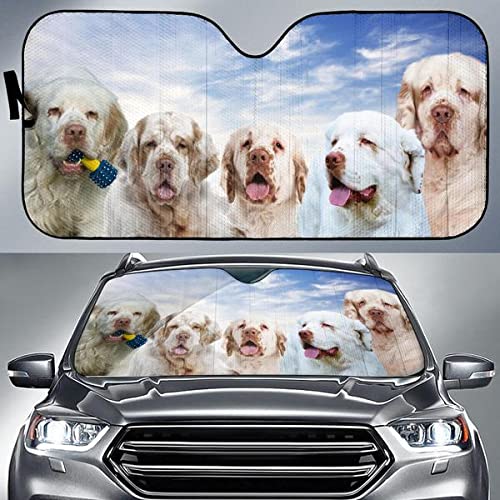 Pare-soleil voiture avant pliable protection UV universelle SUV camion Clumber Spaniel