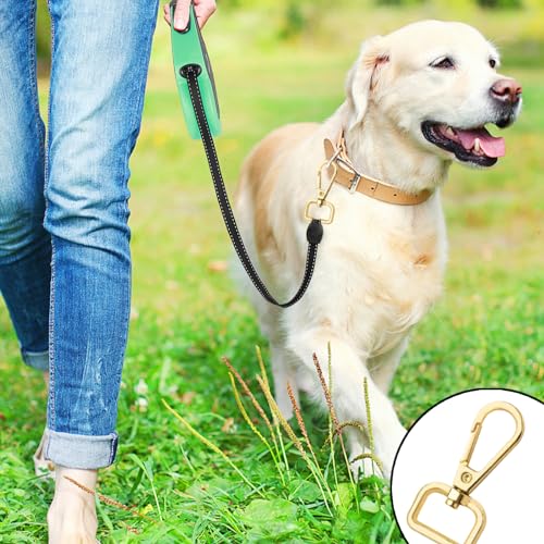 DITK-U 12 Stück Golden Schlüsselanhänger D Ringen Schwenker Hummer Haken Drehbare Karabinerhaken aus Legierung zur Produktion von Handgemachten Taschen Rucksäcke Basteln Verwendet