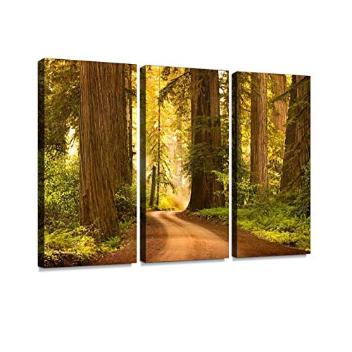 Dirt Road Through Redwood Trees In The Forest Sequoiass And Pictures Wall Artwork Exclusive Photography Vintage Abstract Paintings Print On Canvas Home Decor Wall Art 3 Panels Framed Ready To Hang #TOP4