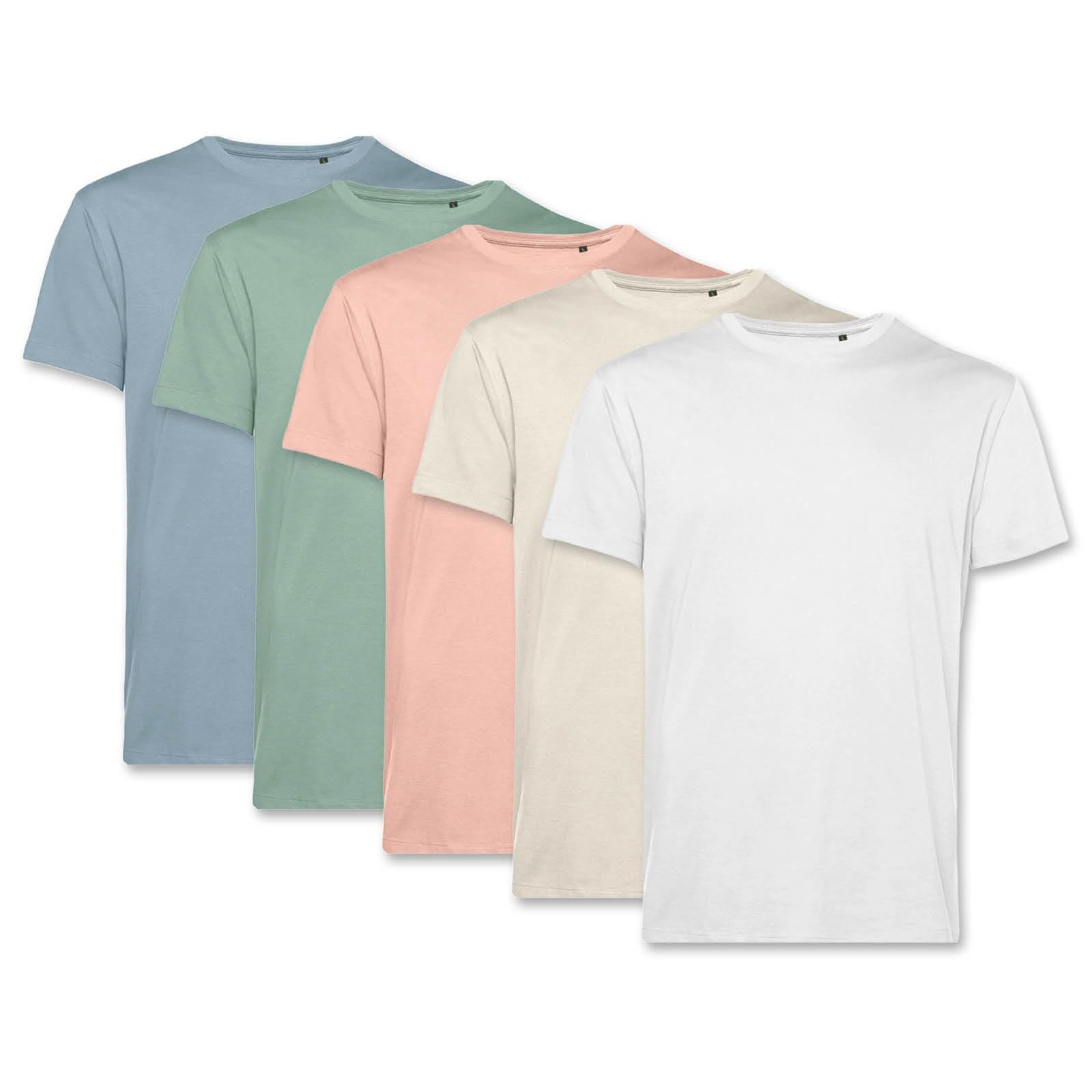 PinkTex Herren T-Shirt (5er Pack) Bio-Baumwolle, Weiß/Sand/Pastellrosa/Salbeigrün/Pastellblau, 3XL