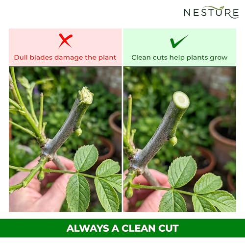 Image of Plant Cutter for Garden Heavy Duty | Ultra Sharp Pruning Cutter with Safety Lock | Non-Slip Garden Scissors for Plants & Branches (Black)