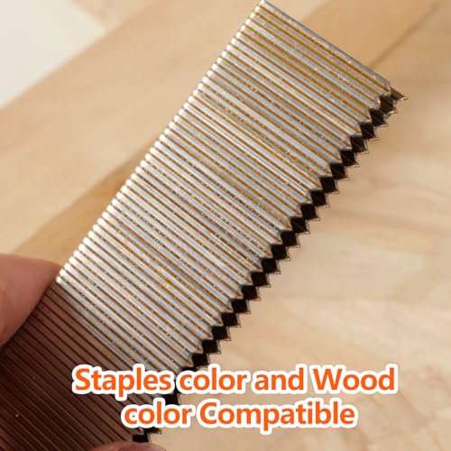 image for SITLDY 1000-Count 1/2 Inch Length, 18 Gauge 1/4 Inch Narrow Crown Stap