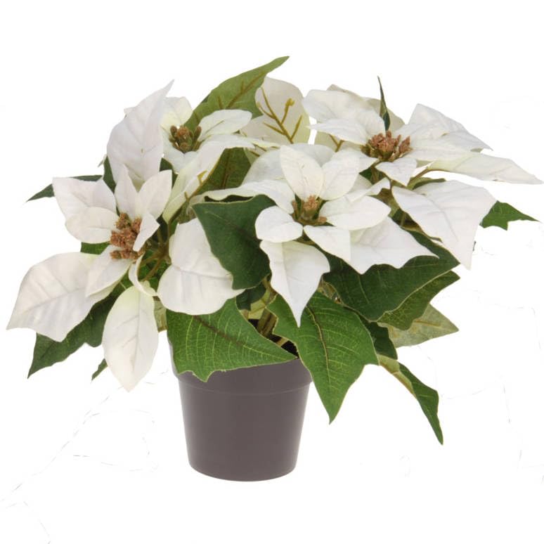 Amazon.de: Home & Styling Weihnachtsstern im Topf, knstlich, H. 25 cm,  Farbe:wei