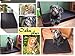 FORTISLINE Hundematte Hundebett OAHU Plus 2 Größen 4 Farben (L - 90x60x8cm, Grau)