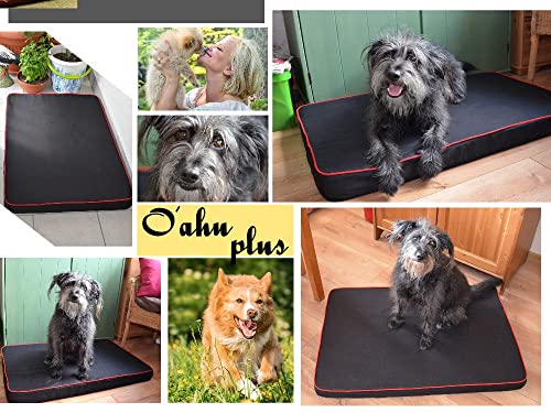 FORTISLINE Hundematte Hundebett OAHU Plus 2 Größen 4 Farben (XL - 120x80x8cm, Braun)