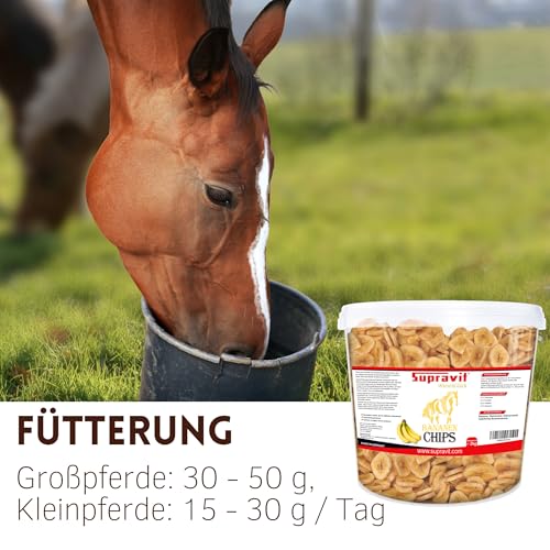 Supravit Bananenchips für Pferde – 2kg Eimer – knusprige Bananenscheiben aus 100% echten Bananen – appetitanregendes Ergänzungsfuttermittel – ideales Pferdeleckerli